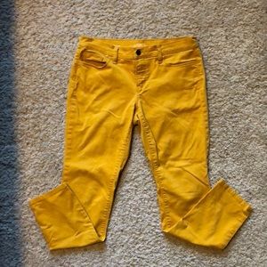 Mustard Yellow Cropped Pants